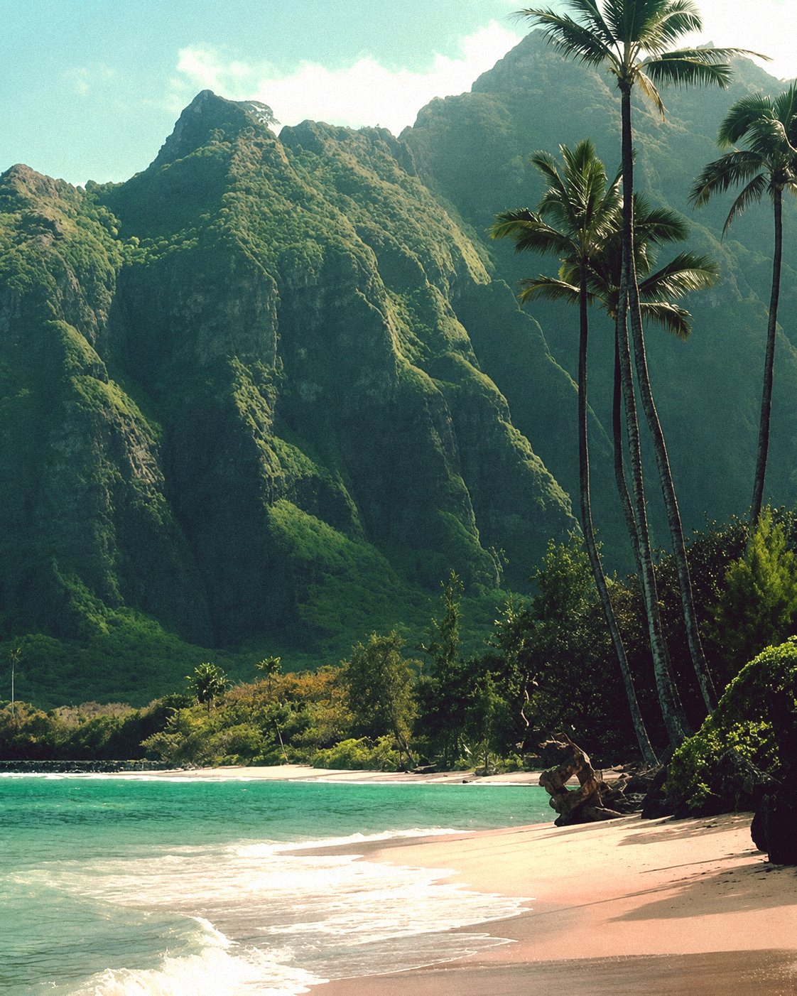 North Shore beach with tropical mountains and palm trees