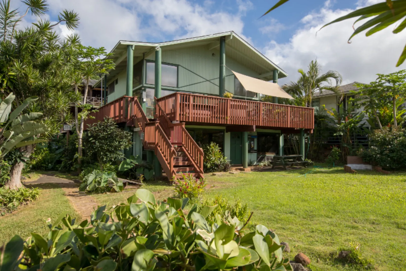 Tropical guesthouse at Backpackers Vacation Inn