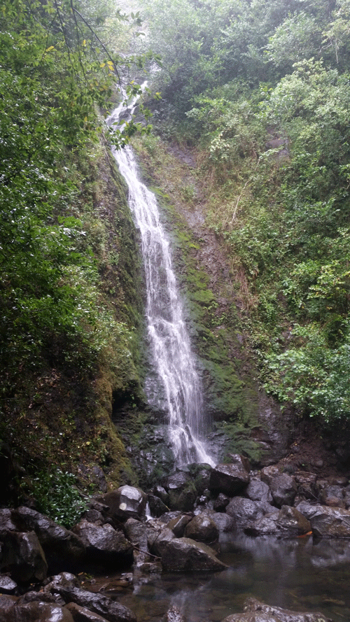 Lulumahu Falls surrounded by lush forest in Nuʻuanu Valley